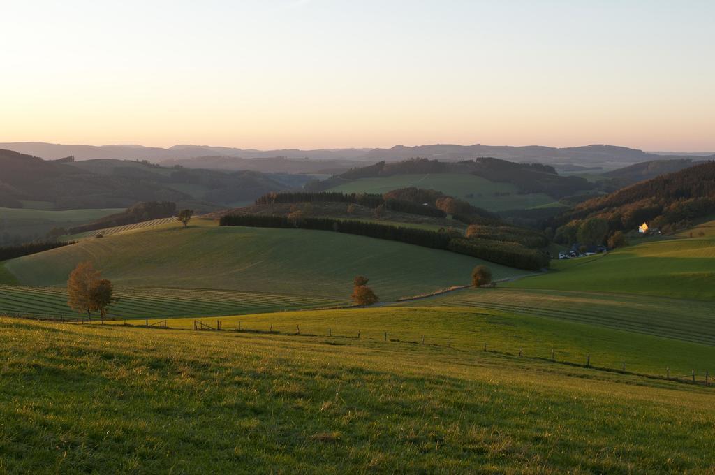 Wuellner'S Landgasthof ชมาลเลนแบร์ก ภายนอก รูปภาพ
