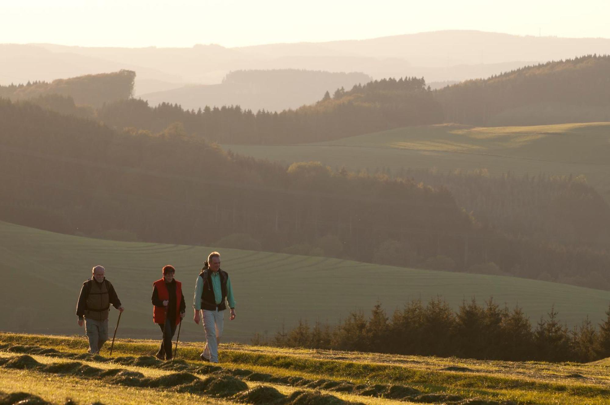 Wuellner'S Landgasthof ชมาลเลนแบร์ก ภายนอก รูปภาพ