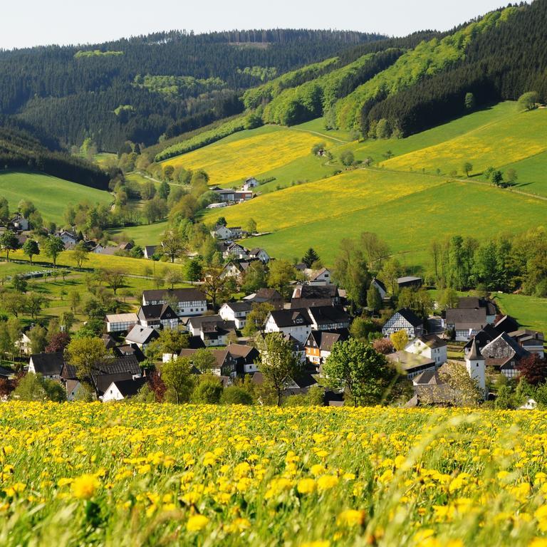 Wuellner'S Landgasthof ชมาลเลนแบร์ก ภายนอก รูปภาพ